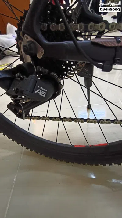 Bicycle 29ers 2