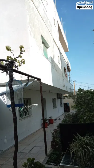 بدر الجديده. الرباحيه الجنوبيه 2