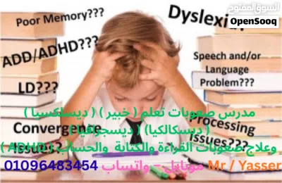 مدرس و متخصص صعوبات تعلم (خبير) عدم القراءة والكتابة والحساب 2
