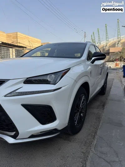 Lexus NX NX 300 3