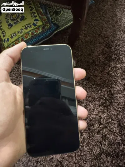 iPhone 12 Pro 3
