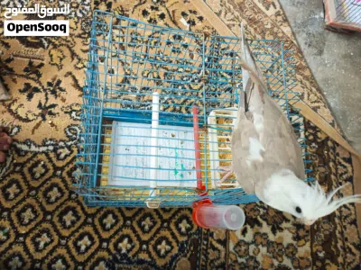 undefined 4