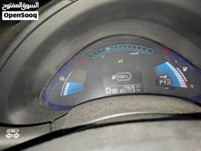Nissan Leaf Standard 4
