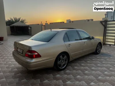 undefined 3