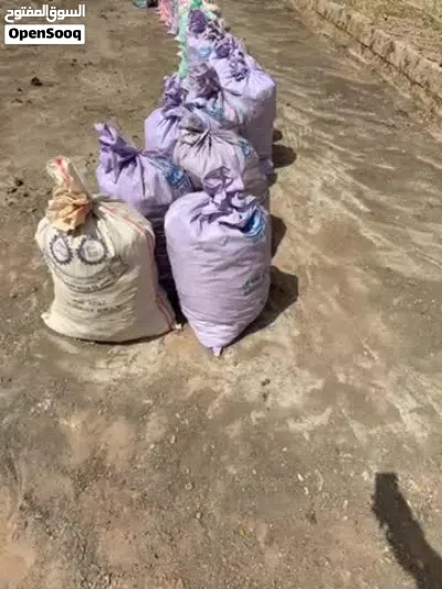 سماد دجاج متوفر بكميات كبيرةةة الجونية ب 400 بيسة 3
