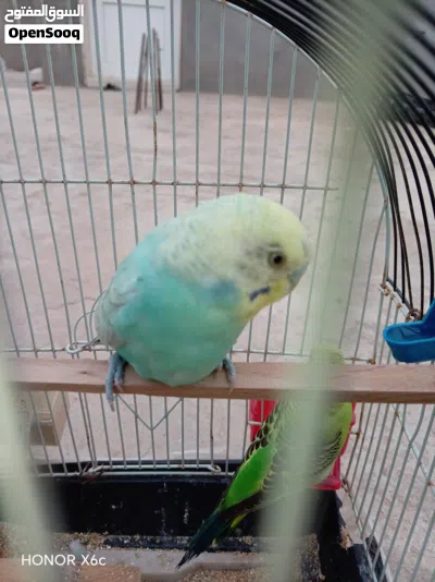 undefined 3