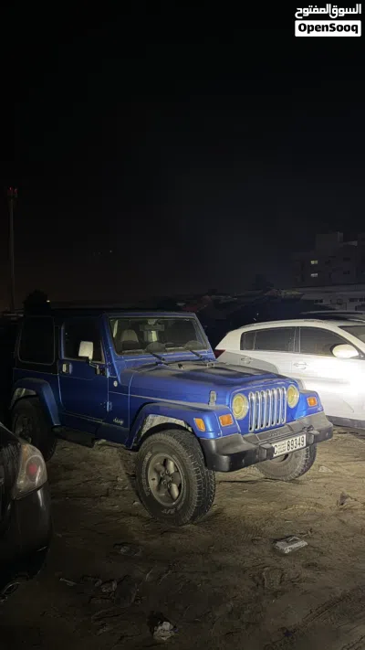Jeep Wrangler Standard 3