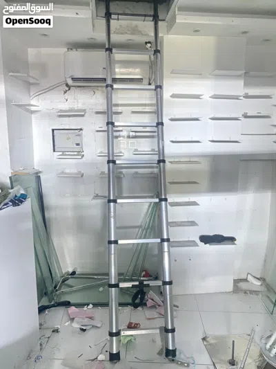 Topman Straight Ladder, STAL10 Aluminium, 10 Steps, 150 Kg Loading Capacity 2
