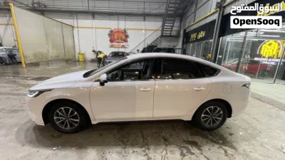 BYD Destroyer 05 3
