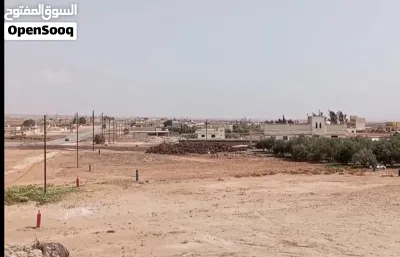 فرصه ذهبية على قطع أراضي استثمارية؛في محافظة المفرق في قرية الحميدية. بمساحات 750 م و 1000 م دونم 4