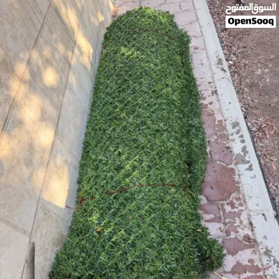 شبك ثيل صناعي 2