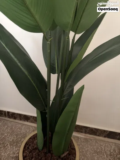 ورق اصطناعي للديكور جديد للبيع 3
