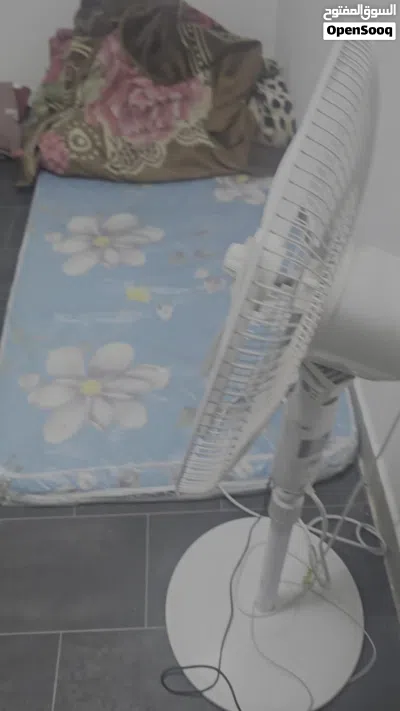 sharing room avilable 2