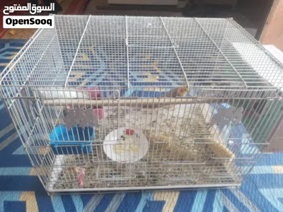 التفاصيل بالوصف 4