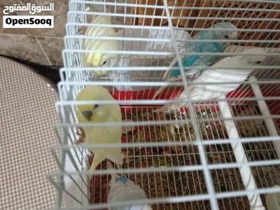 undefined 2