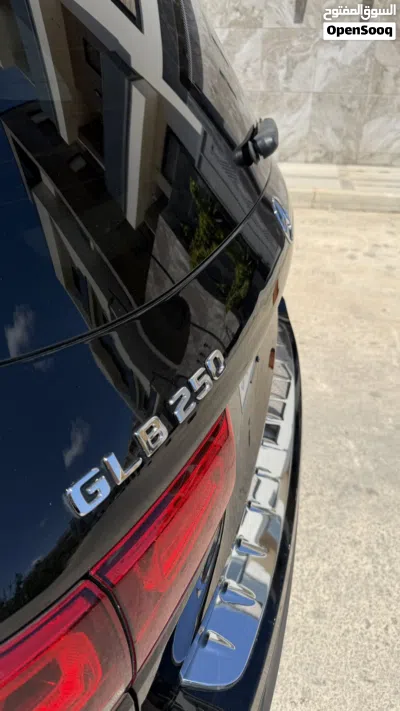 Mercedes Benz GLB-Class GLB 250 3
