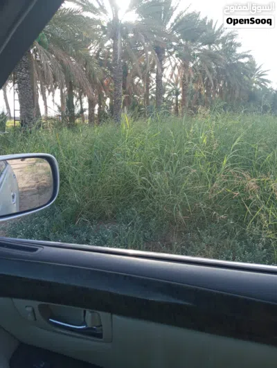 حشيش وقت وذره للبيع 4