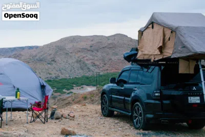 Mitsubishi Pajero GLS 3