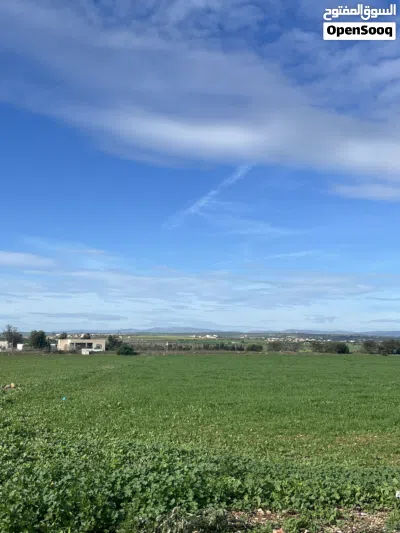 ارض فلاحية للبيع. Terrain à vendre 2