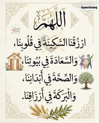 مطلوب شريك تربية حمام 2
