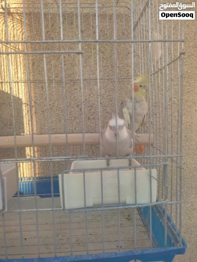 undefined 2