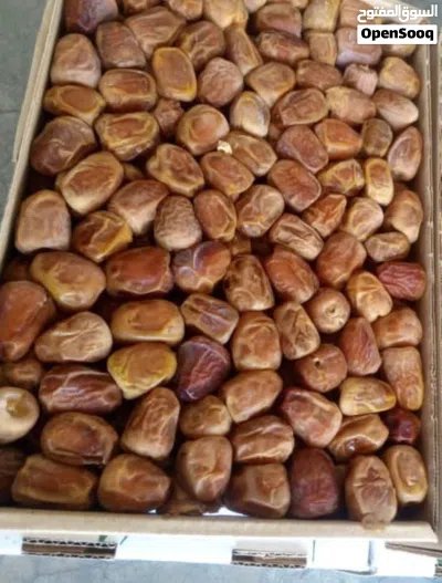 أنا شغل نخل يعني غلا و الذراع تكريب تنظيف نخل تلغيي 2