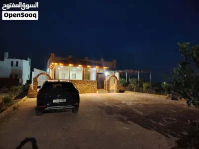 بي واي دي سونج بلس 3