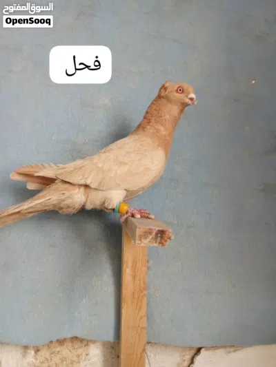 undefined 2
