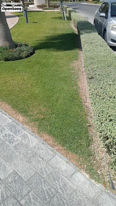 garden working 2