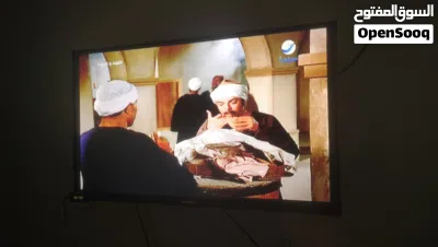 ياسر عمرو وردانى 2