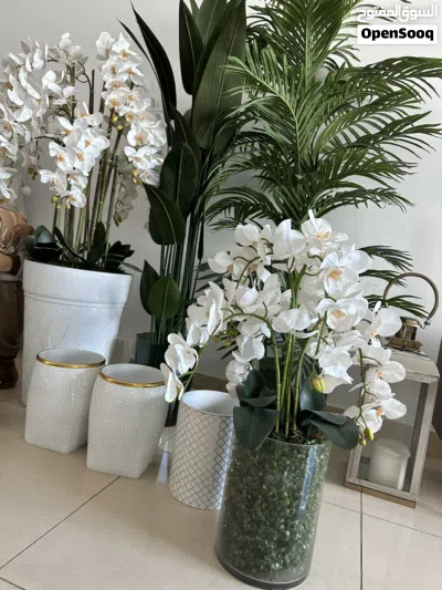 مستعمل نظيف!! 3