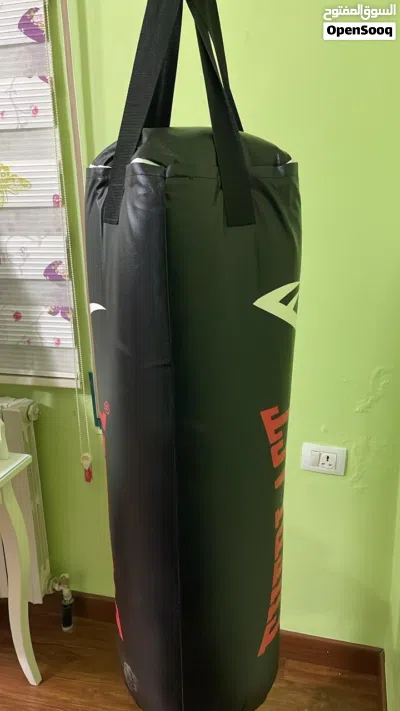 Boxing Bag + Gloves 3