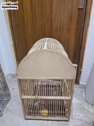 undefined 2