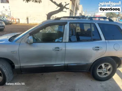 Hyundai Santa Fe Standard 4