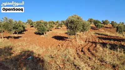 قطعة ارض للبيع 4