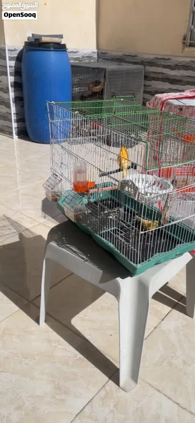 4 اقفاص لبيع 3