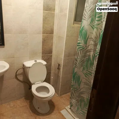 undefined 3