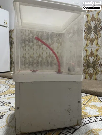 مال عصير مال مواكب 2