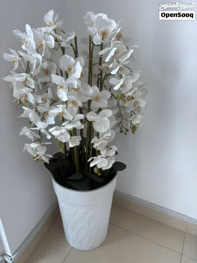 Artificial plants 3