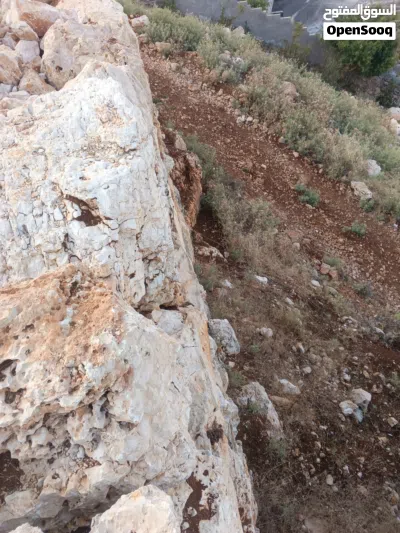 مؤسسة الوسام 3