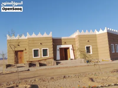 توريد وتركيب الشبوك جميع انواعها 2