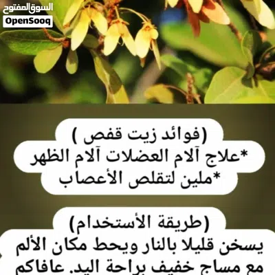 undefined 4