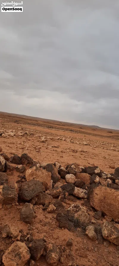 اراضي زراعيه للإستثمار في الاردن 2