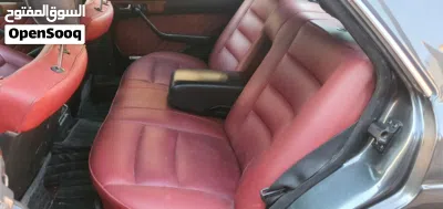 Mercedes Benz SE-Class SE 300 2