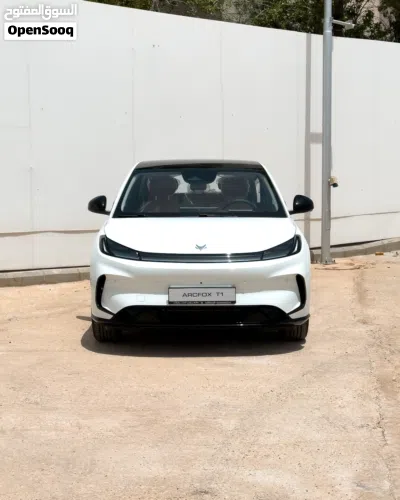 Arcfox T1 4