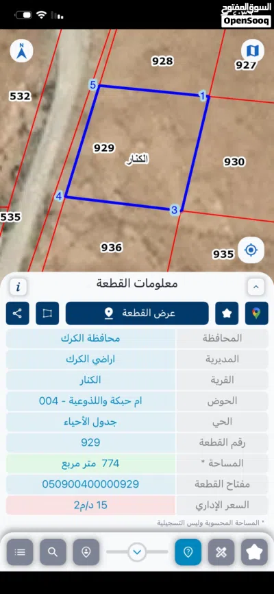 أرض داخل التنظيم تبعد عن الشارع الرئيسي 200 صخرية 2
