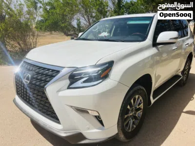 Lexus GX GX 460 Luxury 4