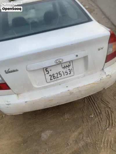 Hyundai Verna EX 3