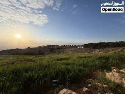 أرض مميزة بإطلالة غربية على البحر الميت بالقرب من عمّان 3