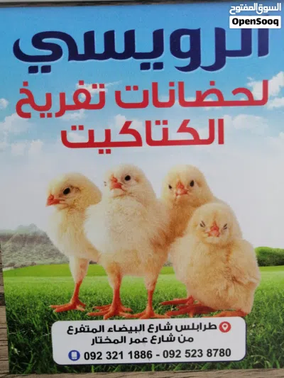 undefined 2